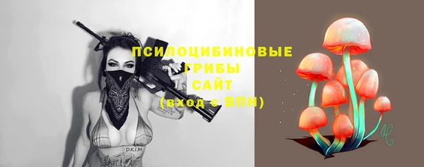 ПСИЛОЦИБИНОВЫЕ ГРИБЫ Балабаново